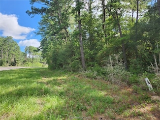 Lots 18-21 N Council Dr, Hempstead, TX 77445