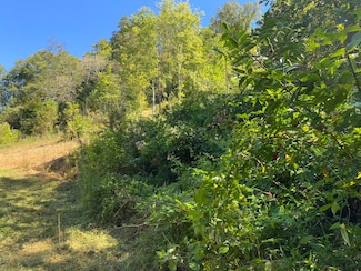 9842 Kentucky Route 223, Flat Lick, KY 40935