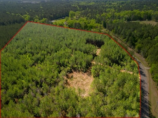 +/- 93 Acres Lott Town Rd, Hattiesburg, MS 39402