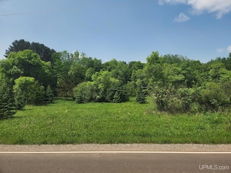 730 Coolidge Ave, Iron River, MI 49935
