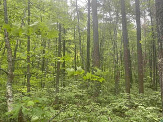 XXX Muckwa Lake Rd, Babbitt, MN 55706