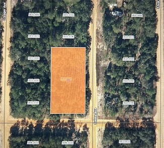 00 Selma Ave, Interlachen, FL 32148