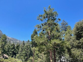 41489 Island Dr, Forest Falls, CA 92339