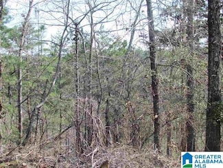 0000 Cogswell Ave Unit vacant 61+- acres, Pell City, AL 35125