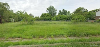 2955 Blaine St, Detroit, MI 48206