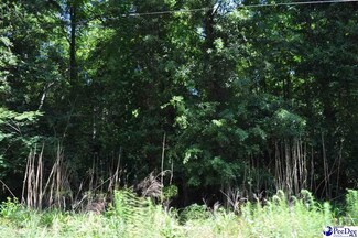 TBD Lot 3E Branchwood Rd, Clio, SC 29525
