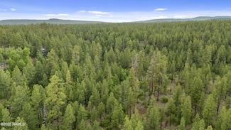 1430 E Puma Place Unit D, Munds Park, AZ 86017