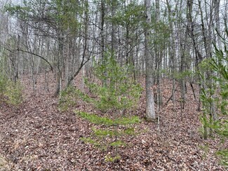 0 Hiddenwood Dr, Mountain City, TN 37683