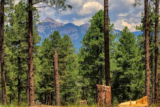 Lot 11 Hidden Valley Dr, Pagosa Springs, CO 81147