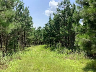 0 Big Pond Rd, Damascus, GA 39841