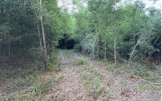 0 Lake Jeffery Rd Unit 127784, Lake City, FL 32055