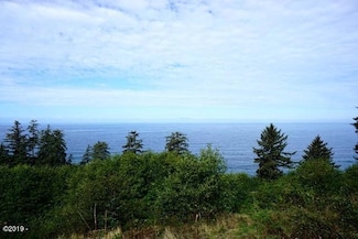 55000 Blk S Beach Rd Ptn Tl 300, Neskowin, OR 97149