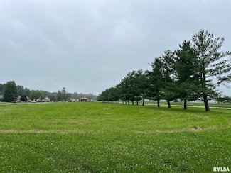 Lot 22 Guinan Rd, Petersburg, IL 62675