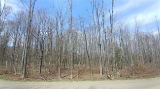 0 Weaver Hill Rd Unit R1115055, Cherry Creek, NY 14723