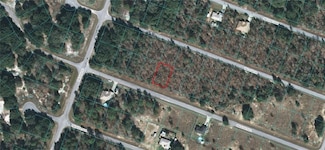 00 Malauka Radial, Ocklawaha, FL 32179