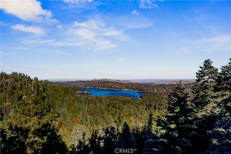 813 Greenbriar Dr, Lake Arrowhead, CA 92321