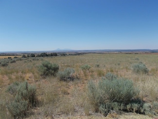 TBD Road 12, Dove Creek, CO 81324