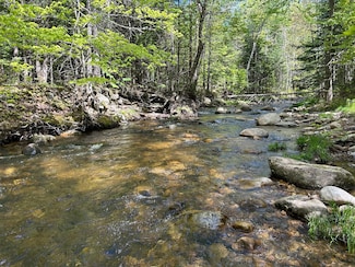 0 Garland Pond Rd Unit 23794839, Byron, ME 04275