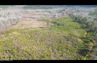 01 Mississippi 19, Philadelphia, MS 39350