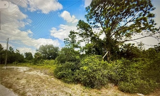 2116 Abbott Ave, Alva, FL 33920