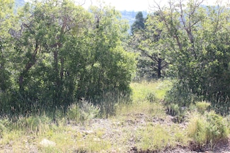 2267 High Mountain View Dr, Cedar City, UT 84720
