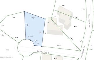 5 Leopard Frog Ct, Bald Head Island, NC 28461