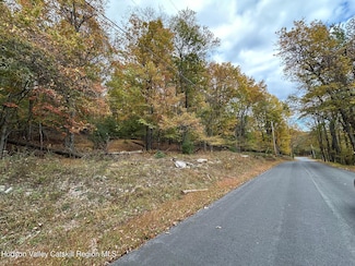 TBD Oak Ridge Rd, Ellenville, NY 12428