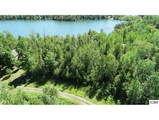 0110 Loon Call Ln, Bigfork, MN 56628