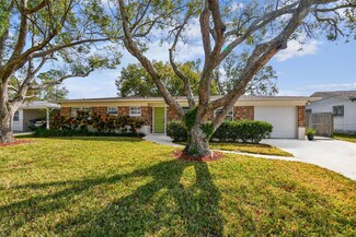 2118 W Erna Dr, Tampa, FL 33603