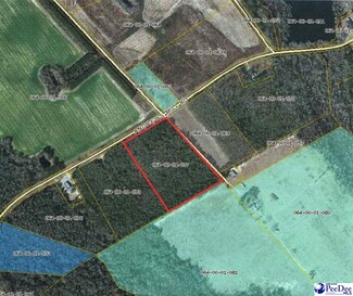 Lot 3D Andrews Mill Rd, Lamar, SC 29069
