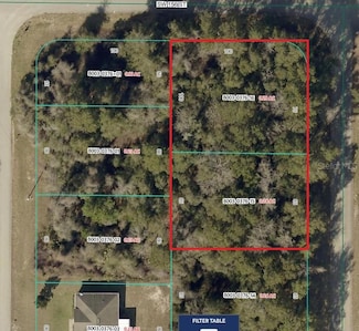TBD SW 19th Avenue Rd, Ocala, FL 34471