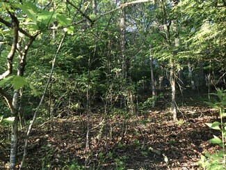TBD McKinney Cave Rd, Reedsville, WV 26547