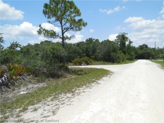 1211 Red Mulberry St, Lake Placid, FL 33852