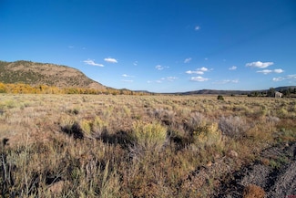 Block 3 Lot 19 Vista Del Rio, Conejos, CO 81120