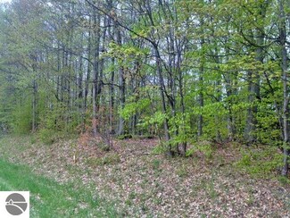 . S Lime Lake Rd Unit B, Cedar, MI 49621
