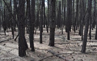 TBD-2 Dynamite Rd, Lakeside, AZ 85929