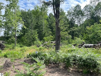 TBD Hoosier Flats Rd Unit B, Traverse City, MI 49685