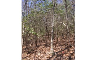 3.97 Magnums Trail, Blue Ridge, GA 30513