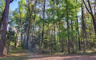 0 Tbd Se Misty Glen, Lake City, FL 32024