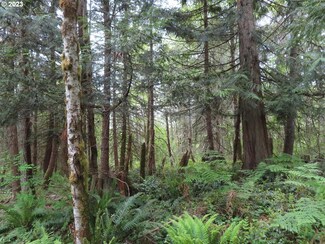 0 Pilgrim Rd E, La Grande, WA 98328