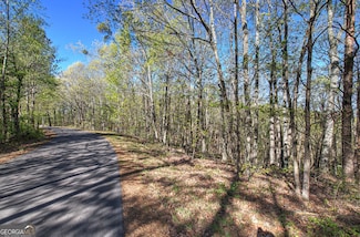 0 Mckibben Rd Unit 10541328, Buchanan, GA 30113
