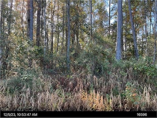 n/a Oakhill Church Rd, Kingsland, GA 31548