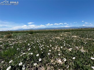 83 Top Rail Trail, Penrose, CO 81240