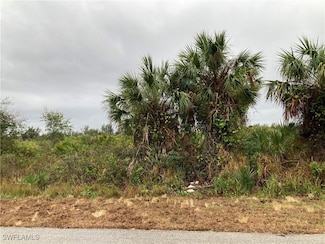 13403 High Springs Ave, South Gulf Cove, FL 33981