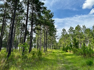 0 Old Prison Camp Rd Unit 11385143, McRae, GA 31055