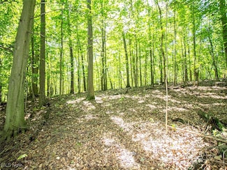 0 Mishey Rd, Bellville, OH 44813