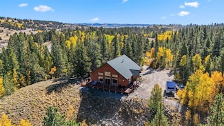 1954 Platte Dr, Fairplay, CO 80440