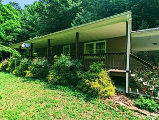 150 Lone Star Rd, Birchleaf, VA 24220