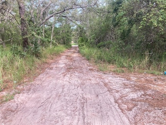 12643 Placid Rd, Hudson, FL 34667