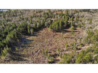 0 Incline Dr Unit 4A 22386249, Lyle, WA 98635